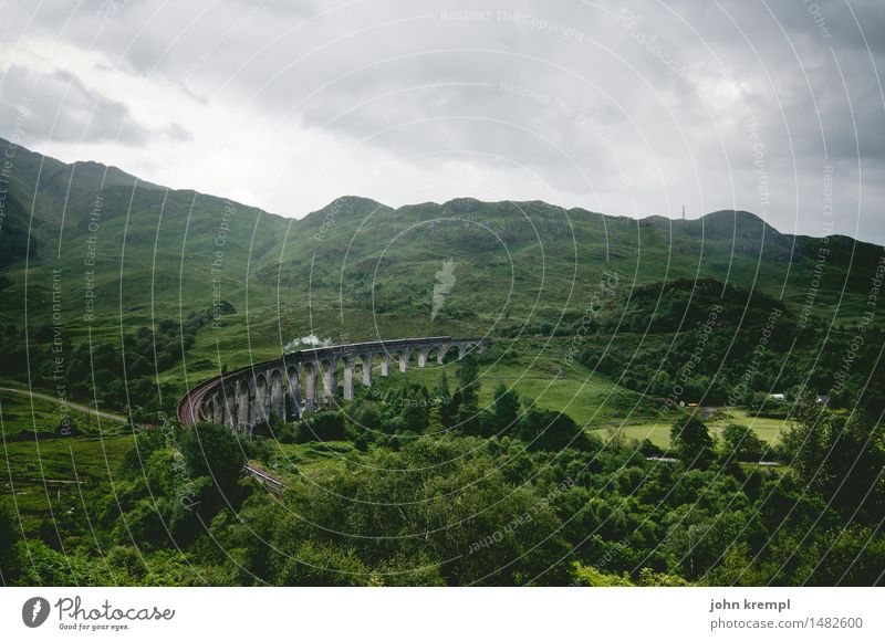 Back to Hogwarts Environment Landscape Clouds Forest Hill Scotland Tourist Attraction Glenfinnan Viaduct Means of transport Passenger traffic Rail transport