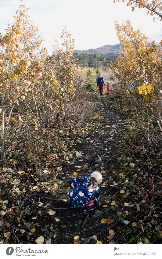 Family hike - Alaska 12 Life Well-being Calm Leisure and hobbies Vacation & Travel Trip Far-off places Hiking Parenting Feminine Child Toddler 3 Human being