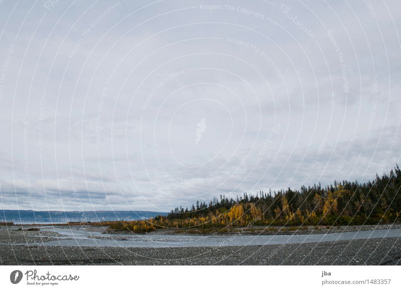 Estuary - Alaska 14 Calm Far-off places Hiking Sporting Complex Nature Landscape Elements Water Clouds Autumn Bad weather Wind Forest Coast Ocean River