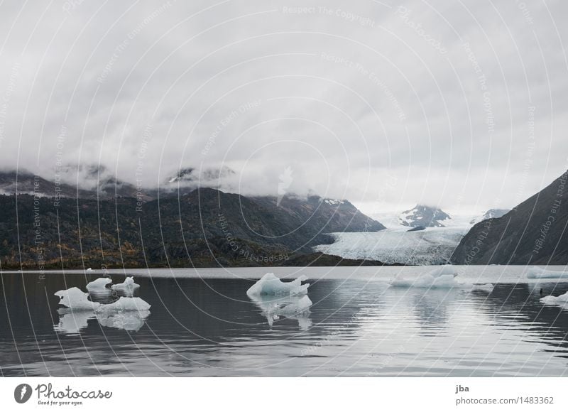 Grewingk Glacier Lake - Alaska 15 Calm Trip Snow Hiking Nature Elements Water Clouds Autumn Bad weather Forest Mountain Waves USA Cold Perpetual ice Flow Hover