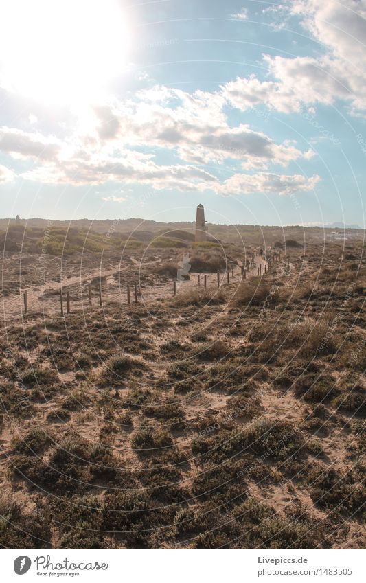 Majorcan steppe Vacation & Travel Trip Nature Landscape Sand Sky Clouds Sun Summer Plant Bushes Wild plant Blue Brown Multicoloured Yellow Gray Orange White