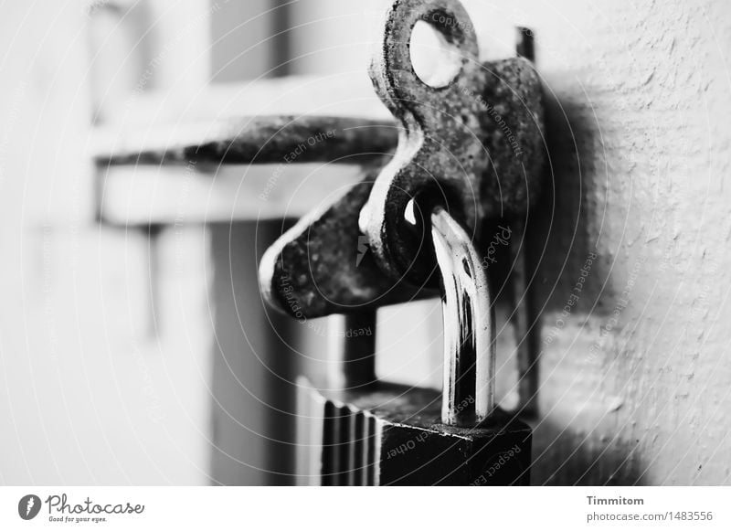 Closed. Storage shed Door Lock Padlock Locking bar Wood Metal Simple Glittering Gray Black Black & white photo Exterior shot Detail Deserted Day Shadow