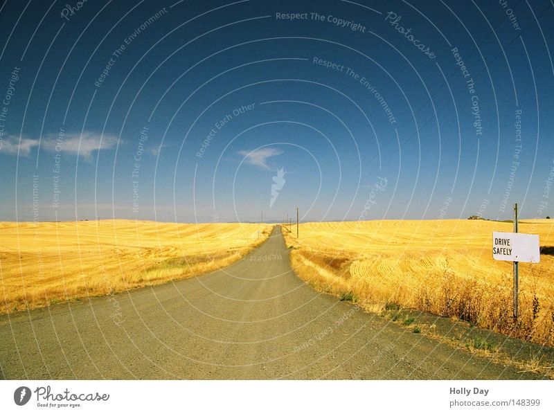 Drive safe! Field Pol-filter Blue Sky Beautiful weather Harvest Yellow Gold Golden yellow Pattern Horizon Summer Wheatfield Far-off places Infinity Island USA