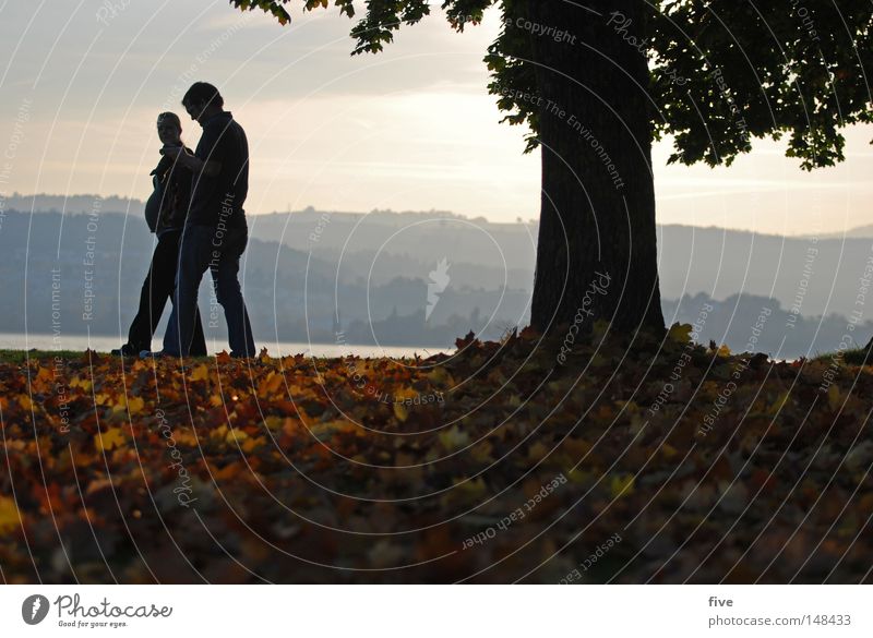 Farewell and a new beginning Autumn Human being Leaf Tree Pregnant To go for a walk Moody Light Colour