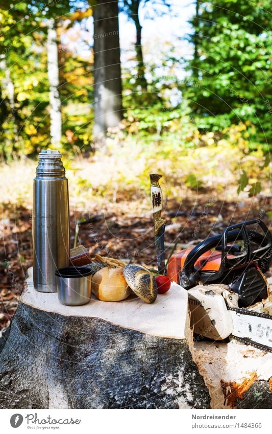 breakfast break Food Sausage Dough Baked goods Roll Nutrition Breakfast Coffee Work and employment Agriculture Forestry Nature Autumn Beautiful weather Tree