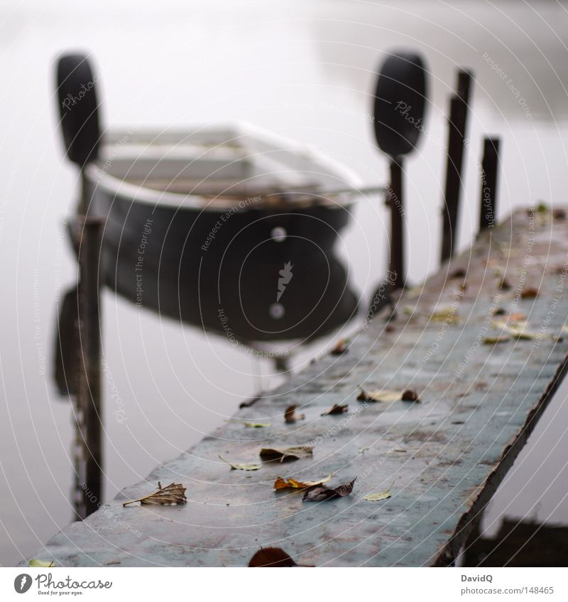 on the jetty Footbridge Harbour Jetty Leaf Water Body of water Lake Pond Interior lake Fog Dreary Unclear Morning fog Gray Bad weather Dark Drops of water Dew