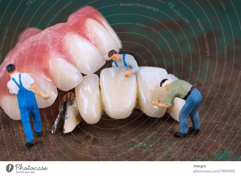 Miniwelten - Teeth cleaning II Model-making Work and employment Profession Craftsperson Construction site Services Health care Human being Masculine Man Adults