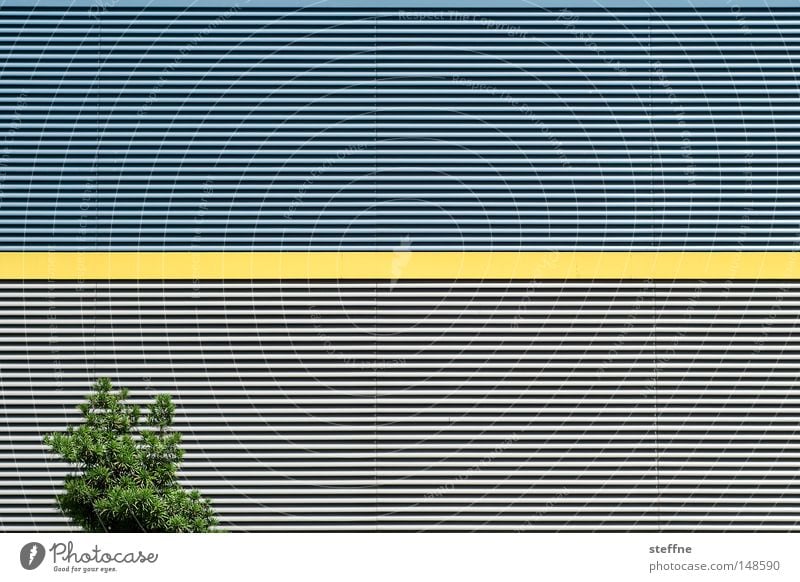 I've been through the bill with eye cancer. Tree Wall (building) Line Yellow Warehouse Hall Industry Nature Architecture Disagreement Illogical Modern Contrast