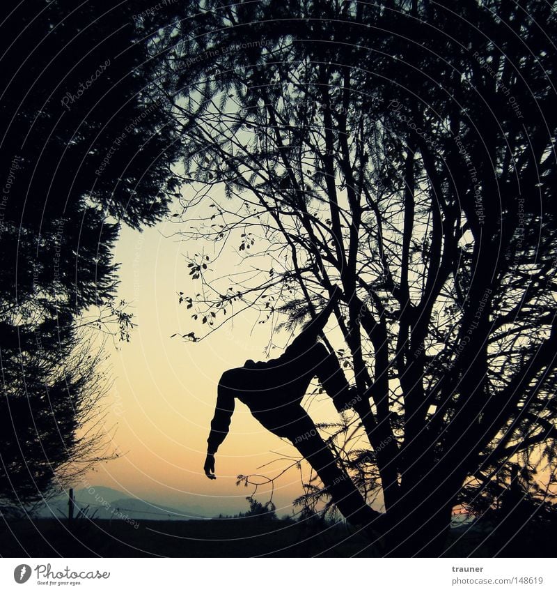 hangman Colour photo Exterior shot Experimental Abstract Structures and shapes Evening Twilight Light Shadow Contrast Silhouette Reflection Sunbeam Sunrise