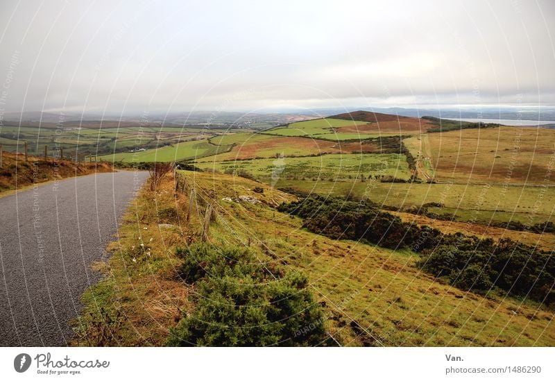 Ir(r)country Nature Landscape Earth Sky Clouds Autumn Bad weather Plant Grass Bushes Hill Street Green Far-off places Ireland Colour photo Multicoloured