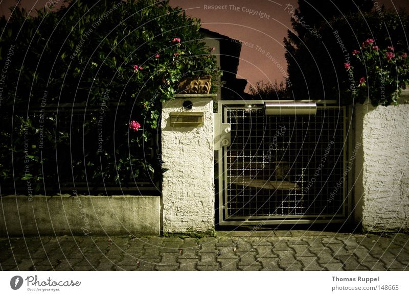 entrance House (Residential Structure) Concealed Small Gate Silver Mailbox Flower Pink Violet Green Plant Gray Sidewalk Grating Twilight Entrance Concrete Pole