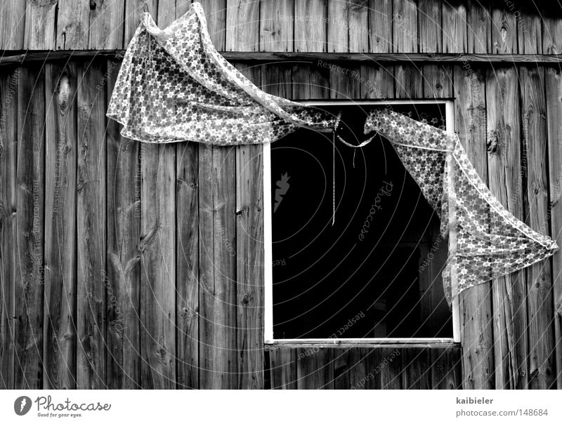 Close the door! Black & white photo Exterior shot Detail Deserted Copy Space left Day Central perspective Back draft Ventilate Leipzig Hut Building