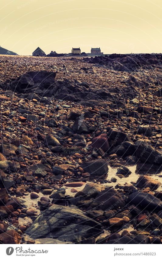 neighbors Sky Beautiful weather Rock Coast House (Residential Structure) Old Small Brown Yellow Black Calm Loneliness Horizon Idyll Colour photo Subdued colour