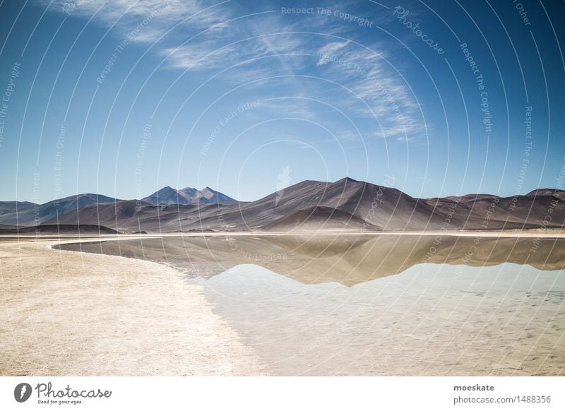 Andes Landscape Elements Earth Sand Air Water Sky Clouds Summer Beautiful weather Blue Brown Chile highlands Mountain Lake Lakeside Reflection Salar de Atacama