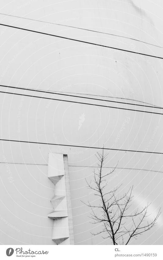 lines Autumn Tree Building Architecture Wall (barrier) Wall (building) Facade Line Gloomy Complex Sparse Tilt Black & white photo Exterior shot Deserted Day