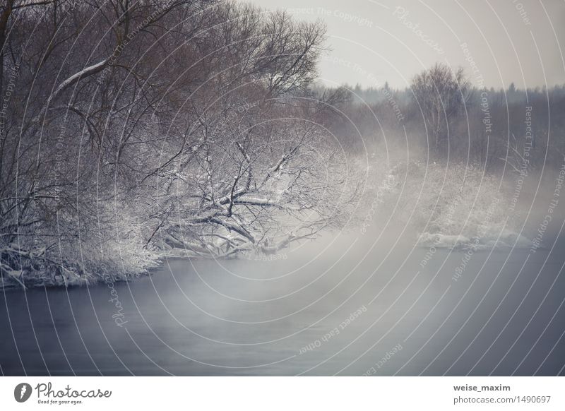 Misty winter river. Winter fog over the river Snow Nature Landscape Water Clouds Climate Fog Ice Frost Tree Bushes Forest Coast River Svisloch Cool (slang)