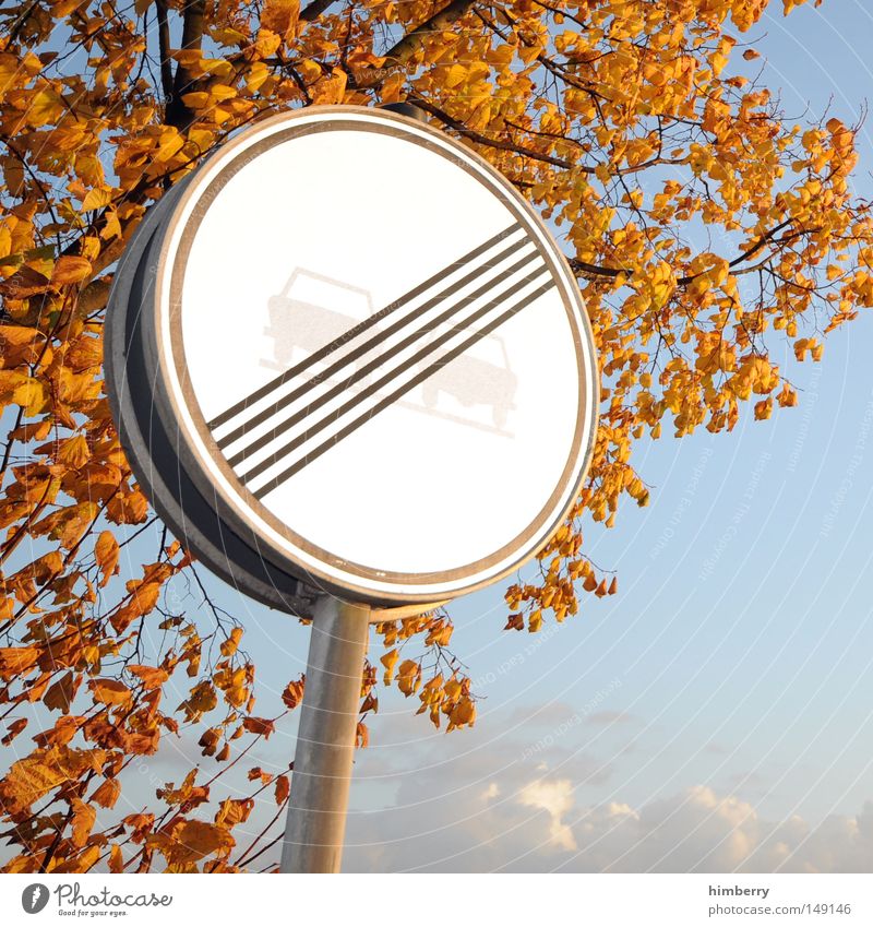 burnout Autumn Leaf Tree Gold Yellow Green Nature Structures and shapes Background picture Sky Street sign Speed Speed limit Trip Short vacation Evening