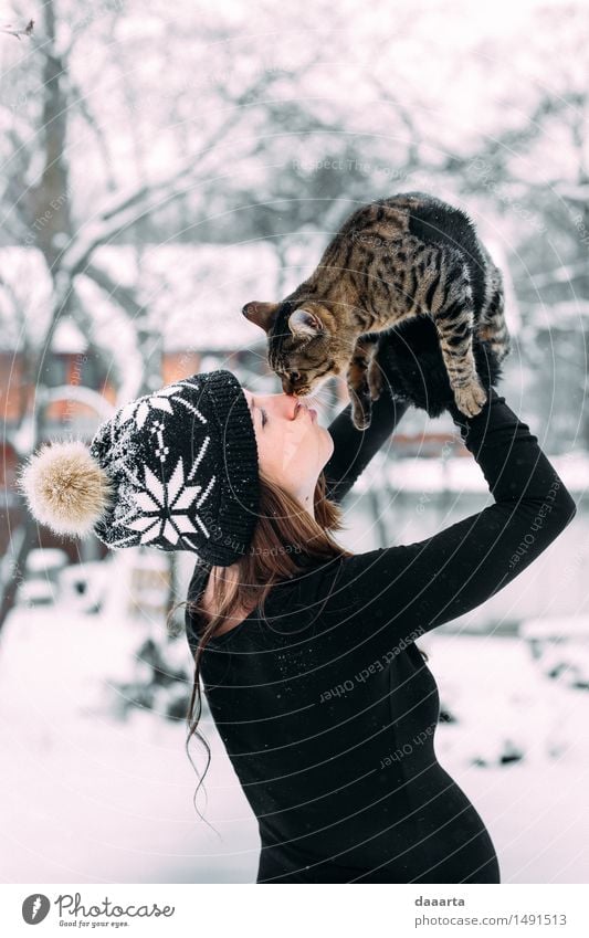 loving the cat Lifestyle Elegant Design Joy Harmonious Senses Relaxation Leisure and hobbies Playing Trip Adventure Freedom Winter Snow Winter vacation Feminine