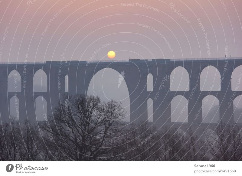 Bridge in the fog with the sun in the archway Environment Nature Landscape Plant Cloudless sky Sunrise Sunset Sunlight Spring Beautiful weather Tree Meadow