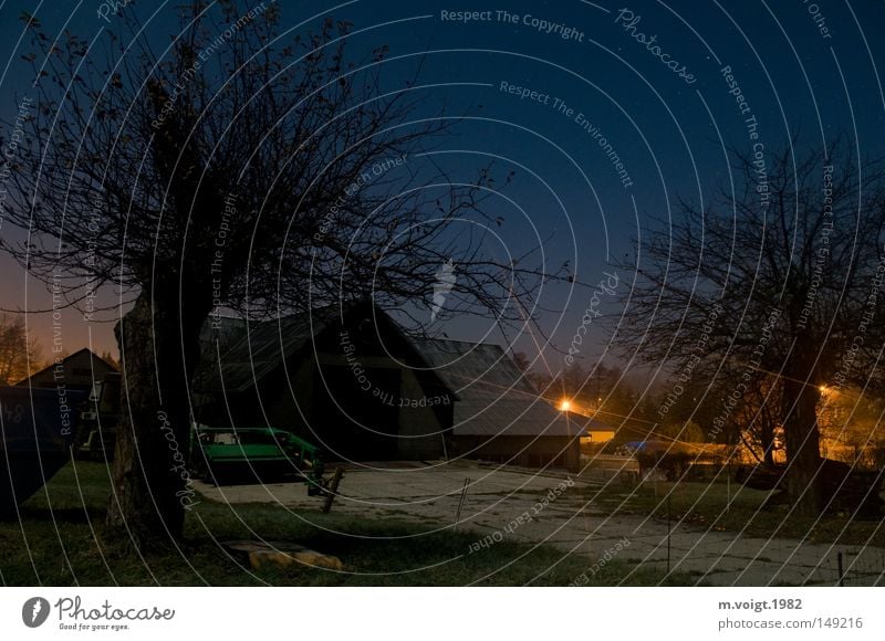 where fox and hare... Colour photo Twilight Night Light Long exposure Cloudless sky Stars Autumn Tree Weickersdorf Village Farm Cold Blue Idyll Calm Lighting