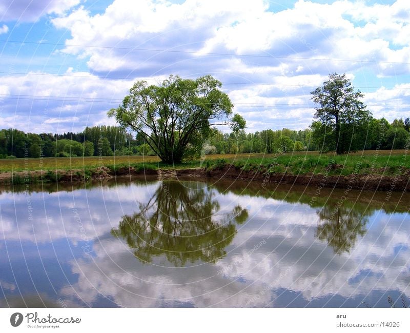 Reflection in the lake Lake Tree Clouds Water reflection Nature Coast