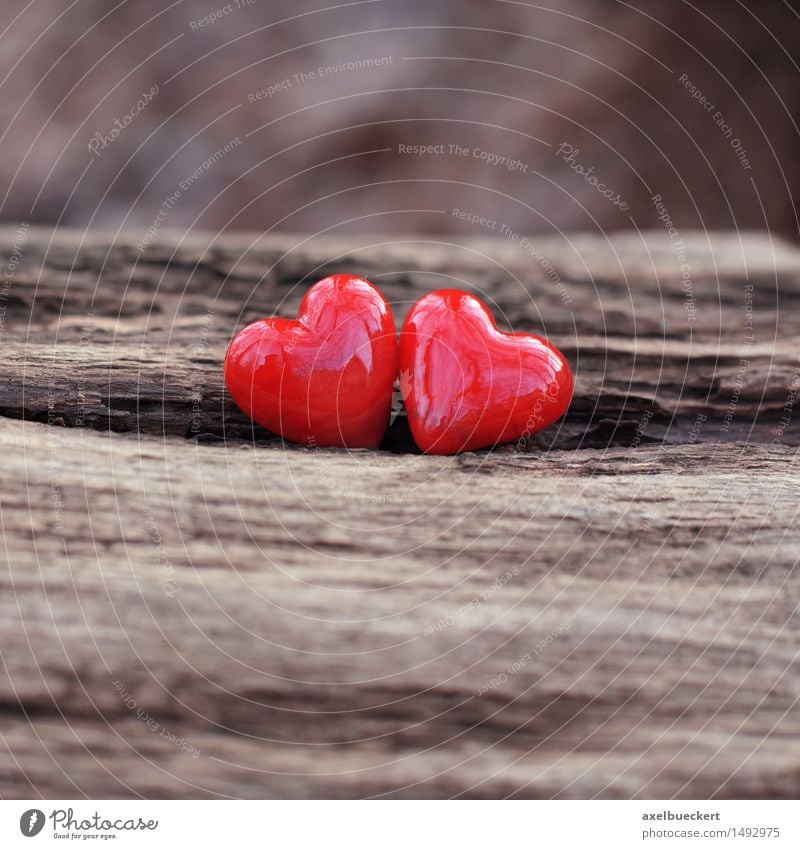 Two hearts Valentine's Day Nature Winter Decoration Kitsch Odds and ends Stone Wood Sign Heart Love Glittering Brown Red Emotions Sympathy Friendship Together