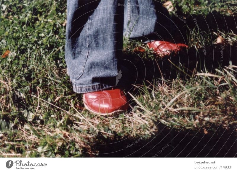 red shoes Footwear Red Grass Human being Feet