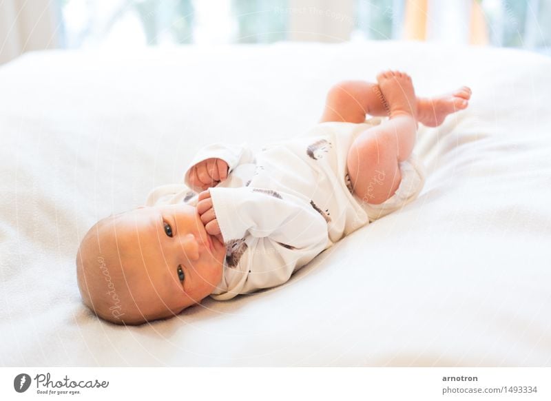 Happy baby Face Relaxation Human being Masculine Baby 1 0 - 12 months Flying White Trust Warm-heartedness Colour photo Subdued colour Interior shot Studio shot