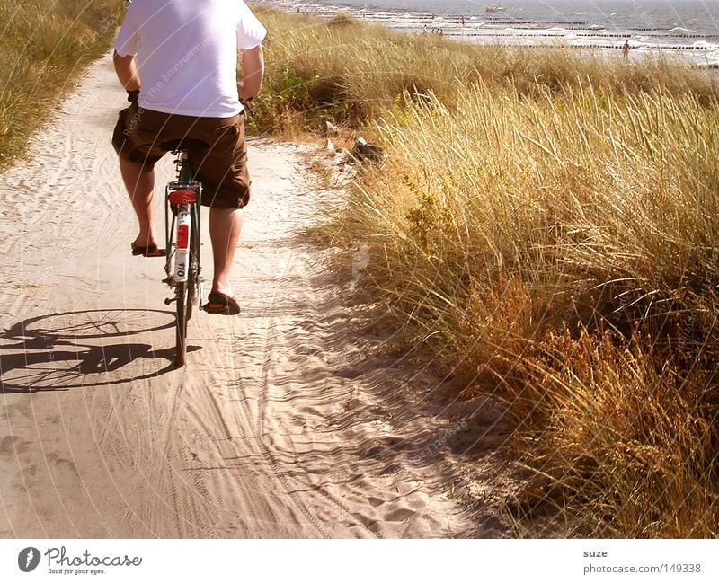 Hiddensee Relaxation Vacation & Travel Cycling tour Summer Summer vacation Beach Ocean Bicycle Human being Masculine Man Adults Back 1 Environment Nature