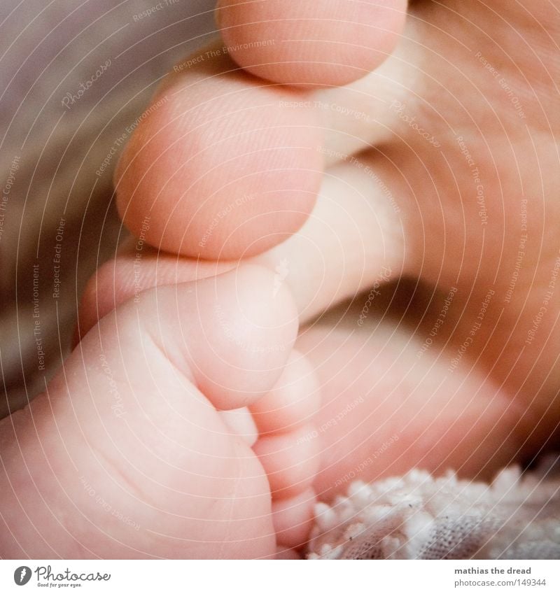 FEET III 2 Couple Child Family & Relations Feet Baby Large Small Lie Relaxation Sole of the foot Boy (child) Rest Break Diminutive Legs Human being Calm