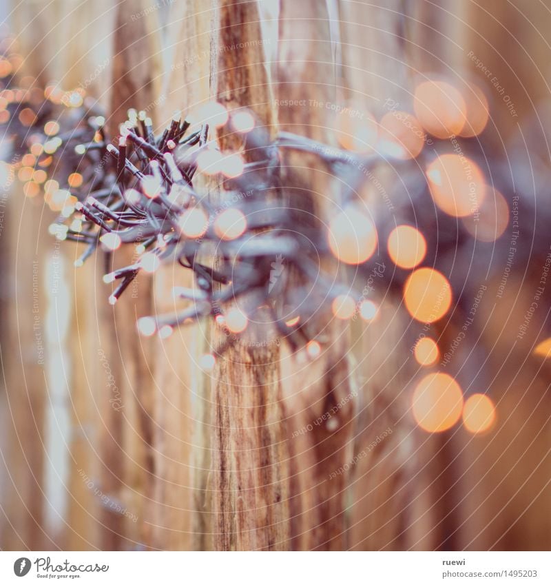 String of lights on a wooden fence Christmas & Advent Deserted Fence Fence post Wooden fence Fairy lights Lamp Plastic Illuminate Brown Yellow Winter