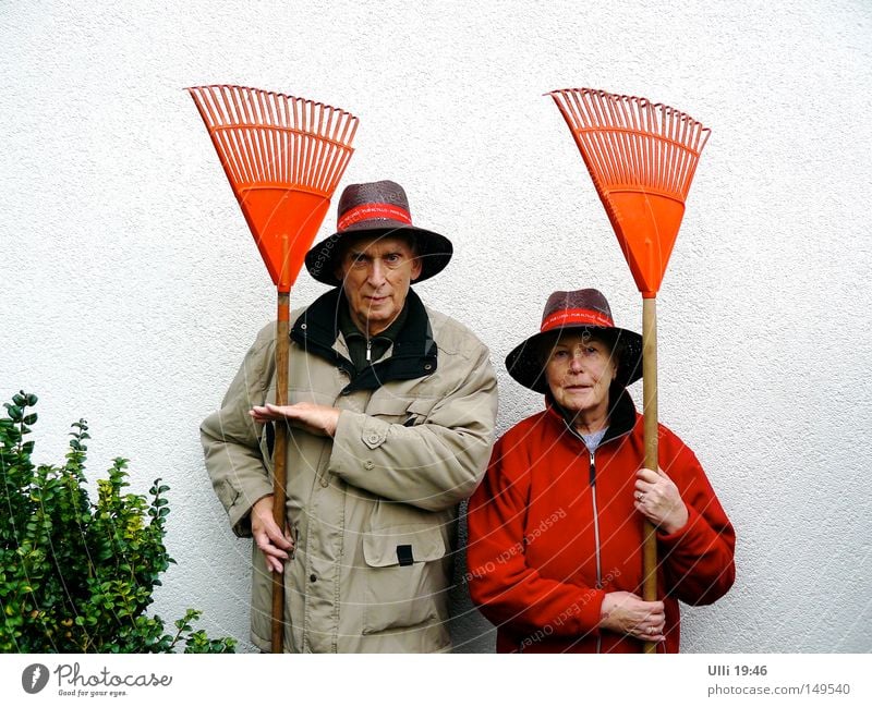 SEK Oranienburg (at the command reception). Leisure and hobbies Garden Work and employment Human being Senior citizen 2 60 years and older Autumn Leaf Park