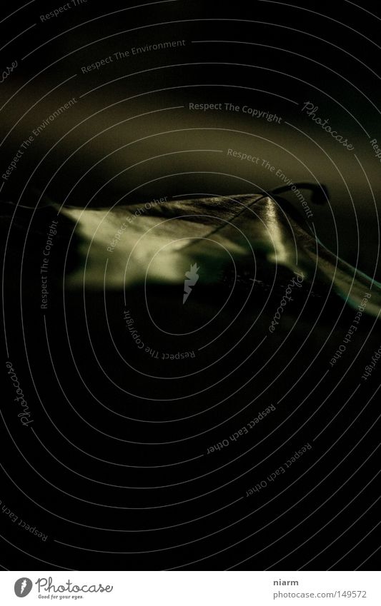 sheet, dark around it Leaf Autumn Dried Shriveled Dark Unicoloured Gloomy Loneliness Doomed Dry Evening Night Blur Life Blown away Oak tree Tree Limp