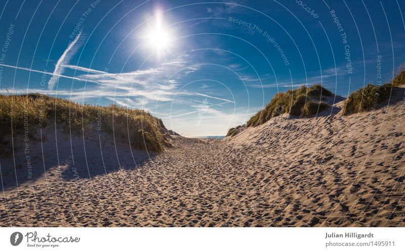 uphill Environment Nature Landscape Plant Sand Clouds Sunlight Climate Weather Desert Looking Moody Vacation & Travel Relaxation Cure Freedom Remote