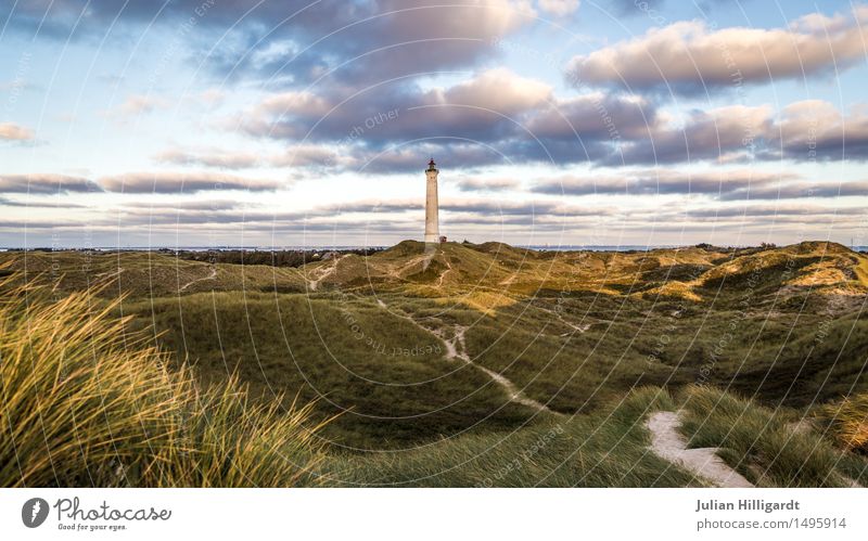 lighthouse Environment Wild Dune Lighthouse Nature How Lowland Vacation destination North Sea Relaxation Free Colour photo Exterior shot Deserted Evening