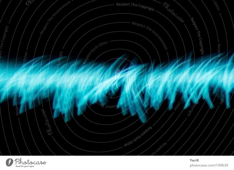 electric grass Grass Light Blade of grass Electric Electronic Glow Lighting Data projector Turquoise Contrast Black Long exposure Progress White Bright Meadow