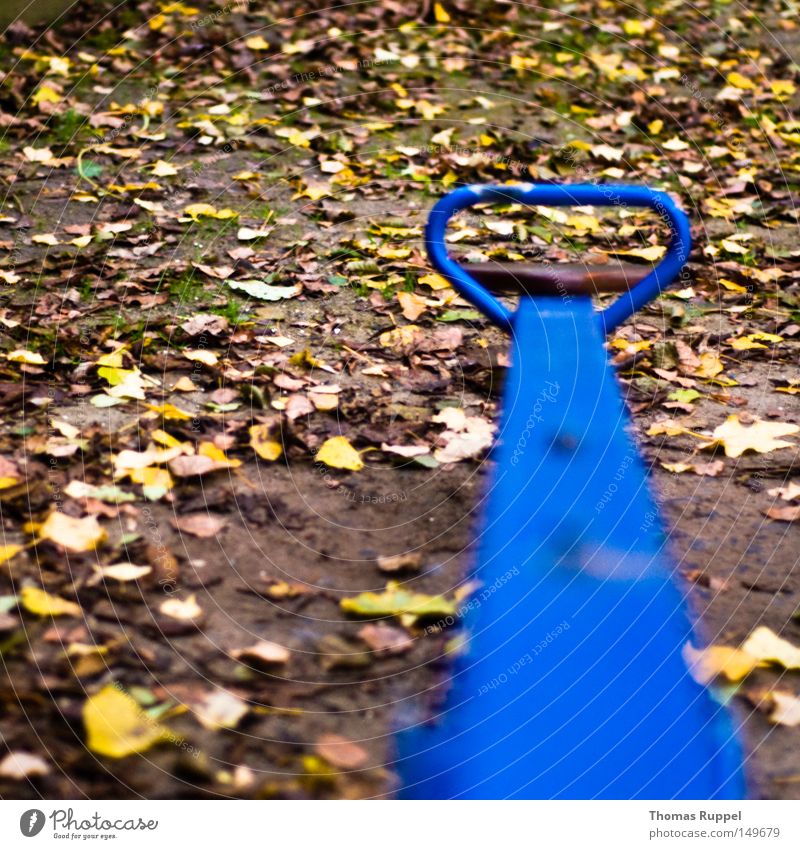 blue seesaw Leaf Green Autumn Playground Toys Blue Seesaw Yellow Swing Joy Playing Infancy Exterior shot