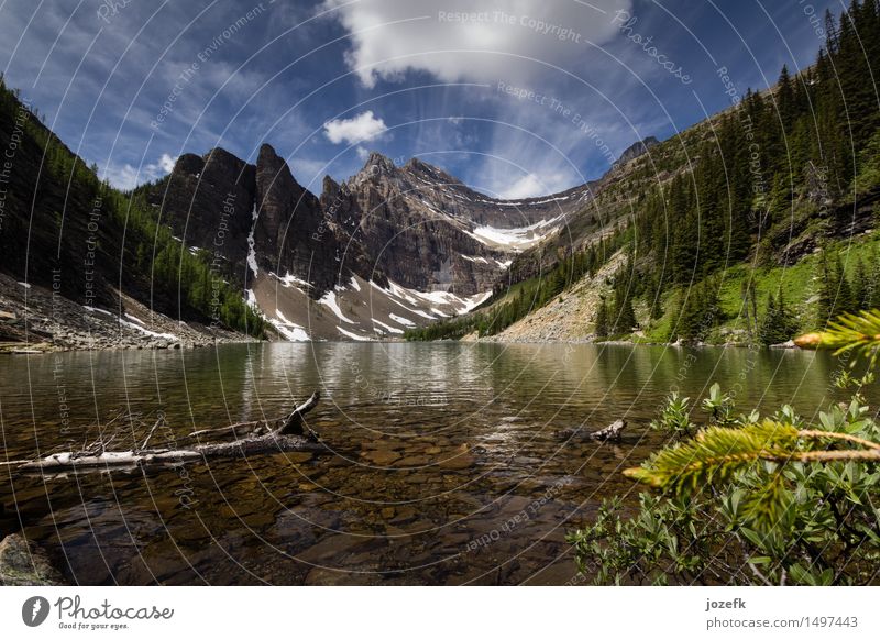 Lake Agnes Vacation & Travel Tourism Trip Adventure Summer Hiking Nature Landscape Plant Forest Mountain Rocky Mountains Peak Glacier Canada Beautiful Blue