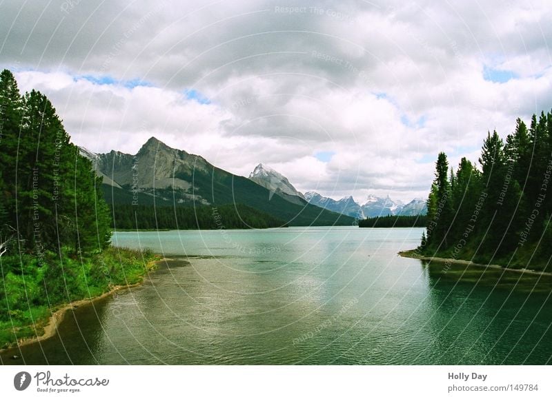 outflow Lake Forest Tree Surface Smoothness Reflection Clouds Mountain Rocky Mountains Canada Lake Maligne North America National Park Dream Gorgeous