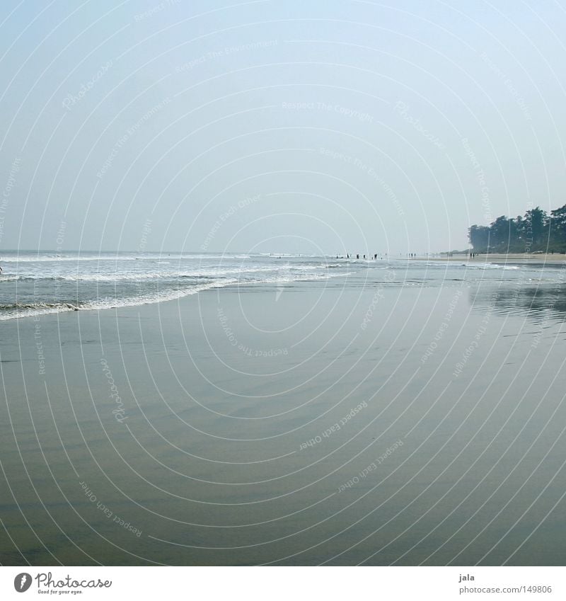 lonely expanse Loneliness Horizon Far-off places Panorama (View) Water Ocean Beach Palm tree Summer Vacation & Travel Calm Peace Travel photography India Goa