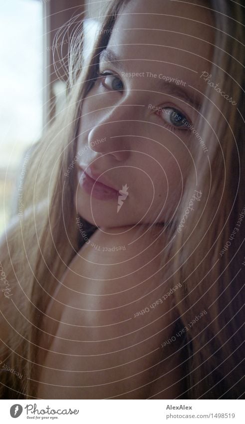 Young woman has her head resting on her knee and looks dreamily into the camera Well-being Senses Youth (Young adults) Face Knee 18 - 30 years Adults Brunette