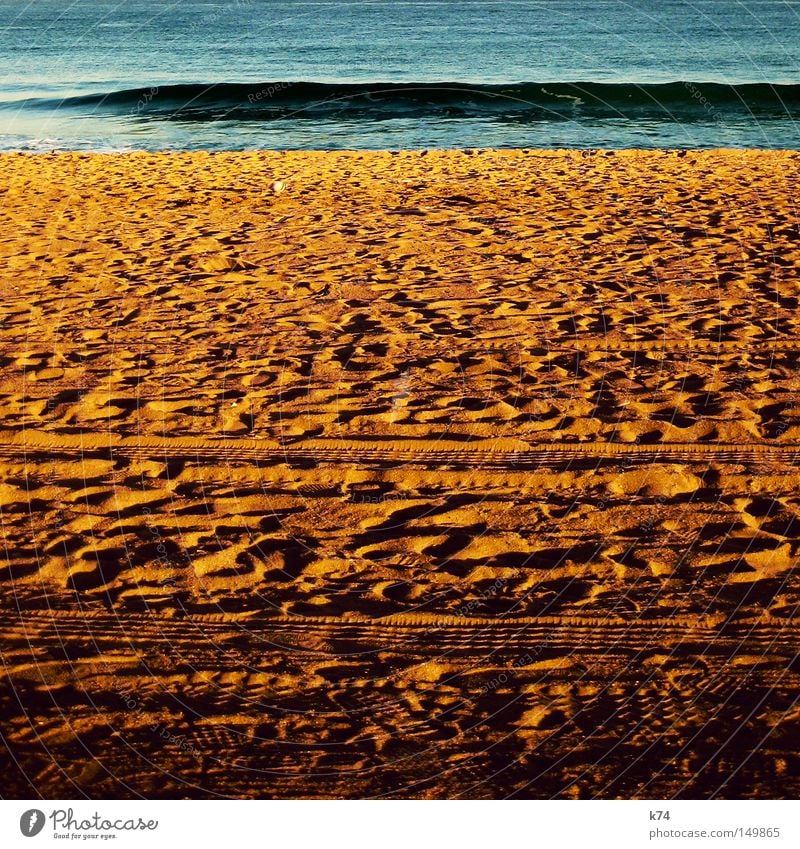 sea change Ocean Lake Water Beach Sand Tracks Coast Maritime Shadow Waves Movement Energy Wind Earth