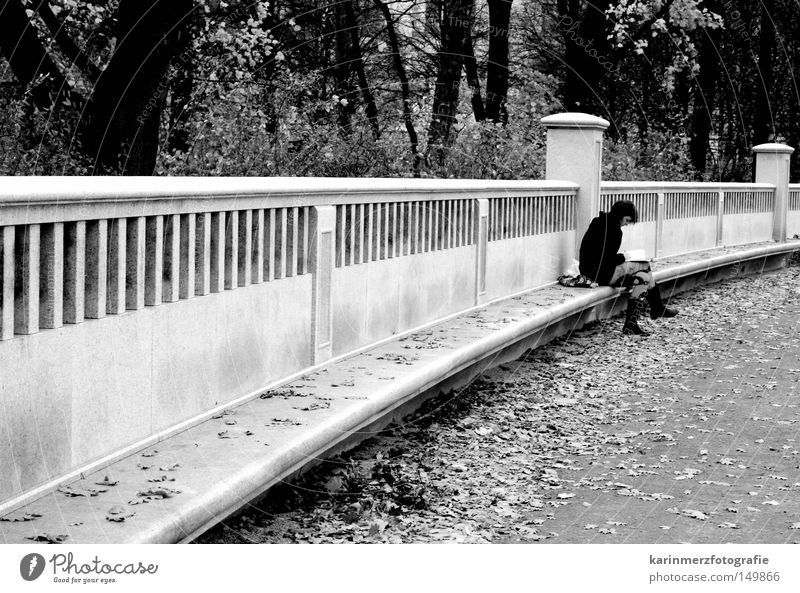 take a break Thought Break Loneliness Dreamily Reading Divide Sit Forest Tree Park Gravel Stone Curved Woman Book Leaf Autumn Seasons Cold Fresh Relaxation