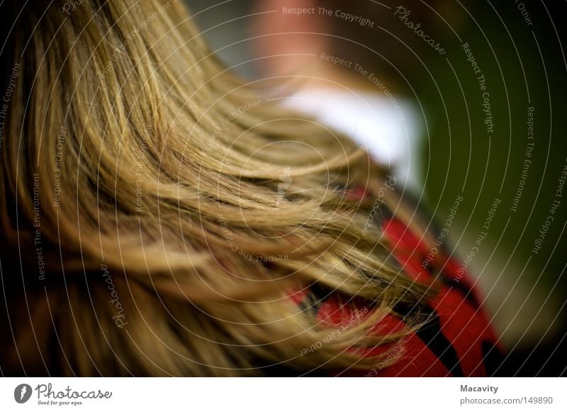 And then she left. Colour photo Shallow depth of field Rear view Beautiful Hair and hairstyles Far-off places Hairdresser Feminine Head Brunette Long-haired