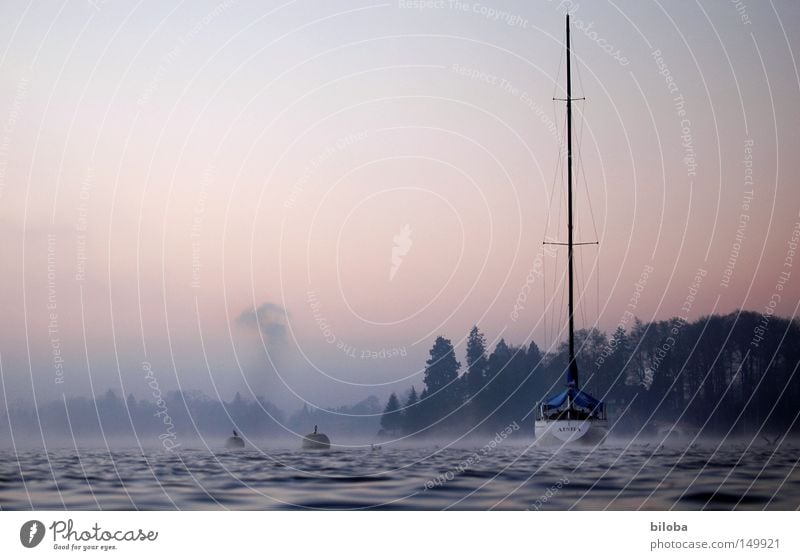 Sink ships! Watercraft Sailboat Liquid Lower Smoke Cold Deep Calm Lake Switzerland Waves Forest Fog Sky Moody Untouched Free Freedom Harmonious Winter Haze