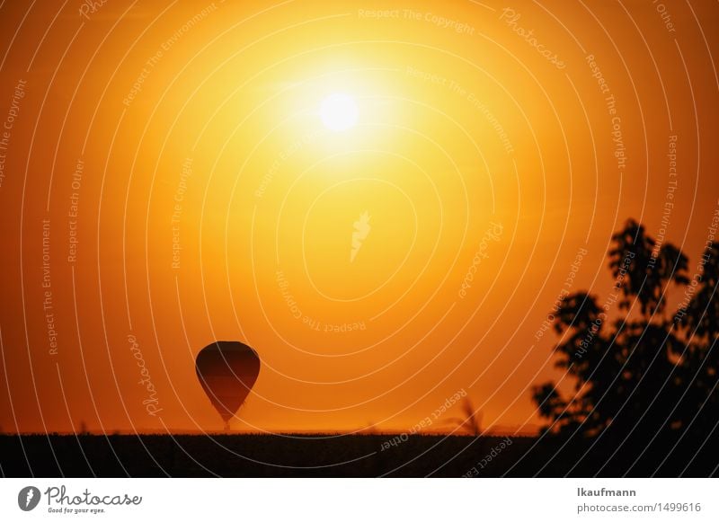 Hot air balloon at sunset Adventure Far-off places Freedom Sun Aviation Sky Horizon Sunrise Sunset Climate Beautiful weather Drought Aircraft Hot Air Balloon