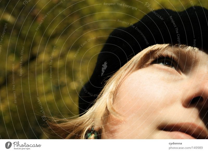 Autumn Timothy II Seasons Leaf Multicoloured Yellow Tree Nature Time Wind Sun Light Human being Woman Feminine Portrait photograph Heat To enjoy Relaxation