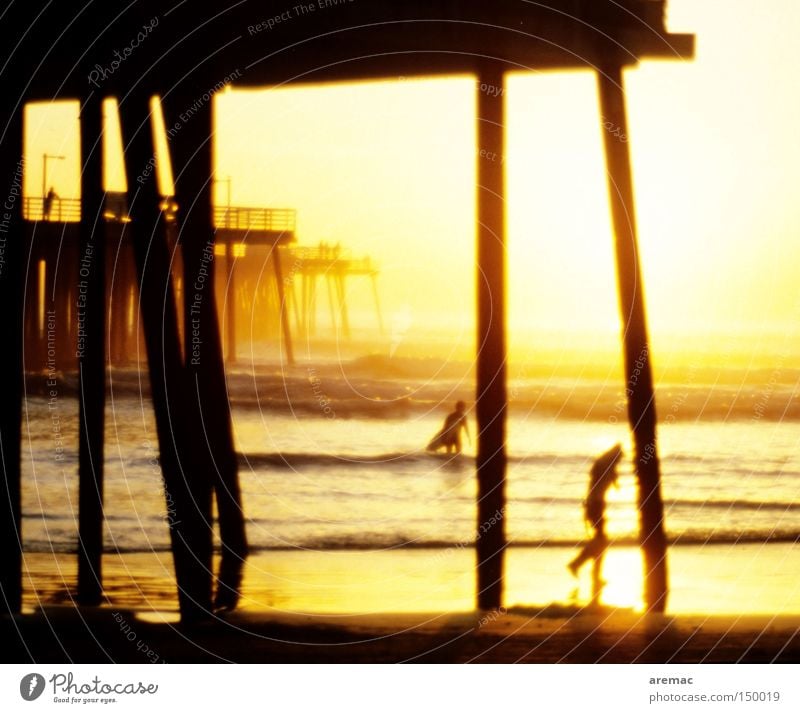 surfers Water Ocean Americas USA Surfing Surfer Sunset Jetty Wood Swimming & Bathing Vacation & Travel California Promenade Waves Light Beach Coast boardwalk