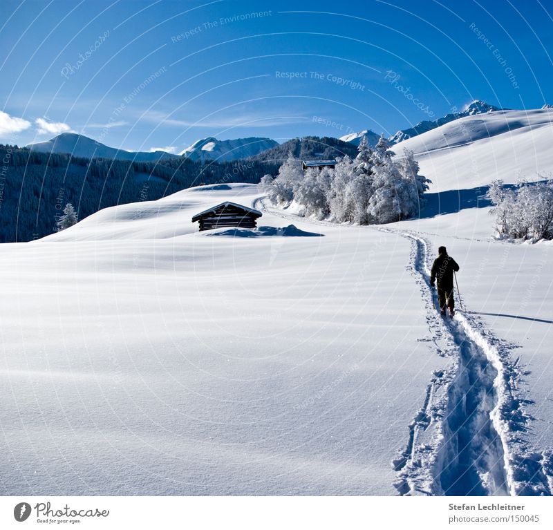 Up and at 'em! Fiss Ladis Austria Park Winter Shows Mountain Landscape Snowscape Federal State of Tyrol Deep snow Idyll Love of winter Winter's day