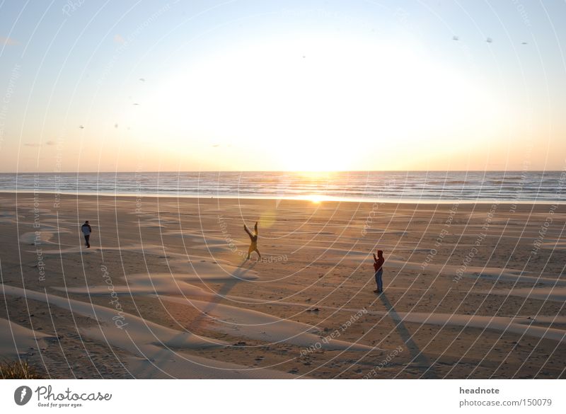 An evening on the beach Beach Human being Sun Sunrise Picturesque Light Shadow Sky Reflection Sand Friendship Ocean Earth Summer